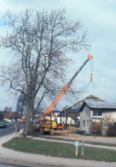 Craning up the roof, March 1982