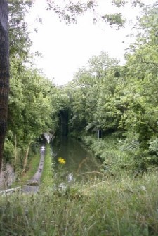 Peak Forest Canal Woodley